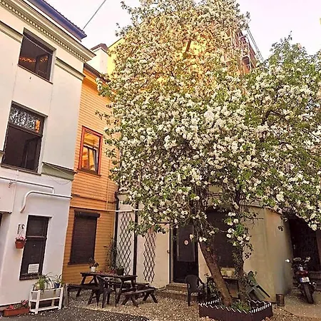 Central Hostel *