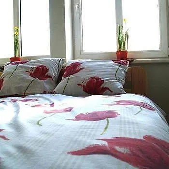 Central Hostel Ostello Riga