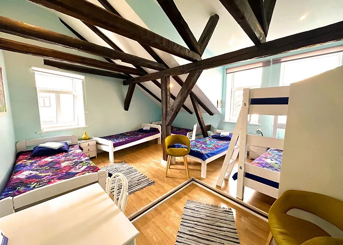 Auberge de jeunesse Central Hostel